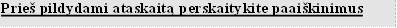 Prieš pildydami ataskaitą perskaitykite paaiškinimus