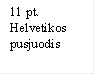 11 pt.
Helvetikos
pusjuodis
