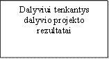 Dalyviui tenkantys dalyvio projekto rezultatai