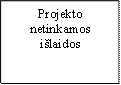 Projekto netinkamos išlaidos
