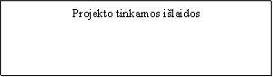 Projekto tinkamos išlaidos