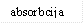 absorbcija