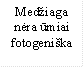 Medžiaga nėra ūmiai fotogeniška