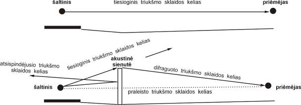 triuksmo_sklaida_su_sienute