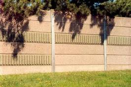 betonine1