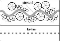 sienutes_konfiguracija_serpantinas