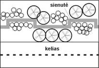 sienutes_konfiguracija_dantyta