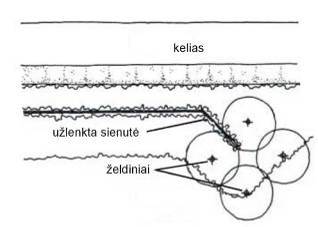 pylimai_su_sienute2
