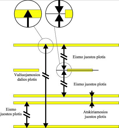 T DVAER Model (1)