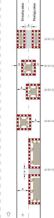 T DVAER Model (1)