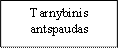 Tarnybinis antspaudas