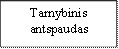Tarnybinis antspaudas