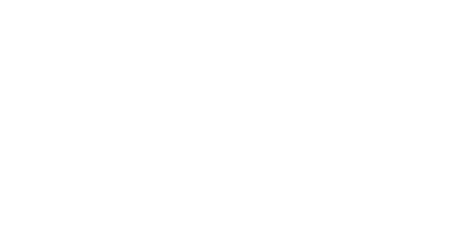 SVARBUS KIEKVIENAS
